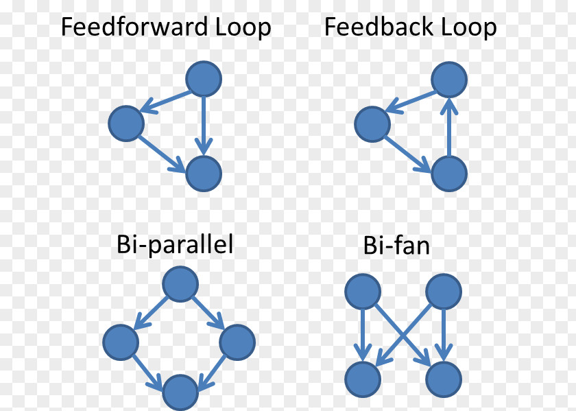 Motifs Feed Forward Control System Feedback Network Motif Theory PNG