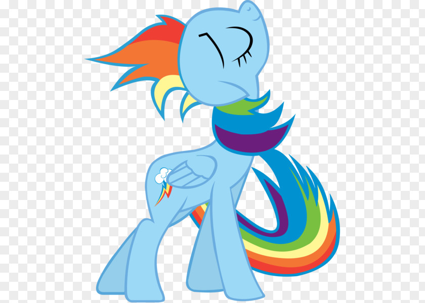 Rainbow Dash Rarity Twilight Sparkle Applejack PNG