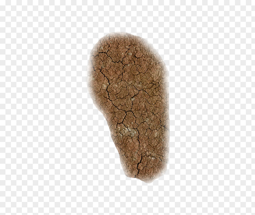 Soil Beige Earth Texture PNG