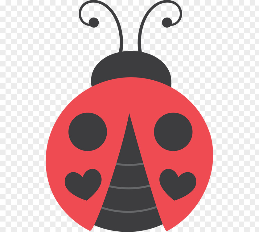 Beetle Ladybird Drawing Clip Art PNG