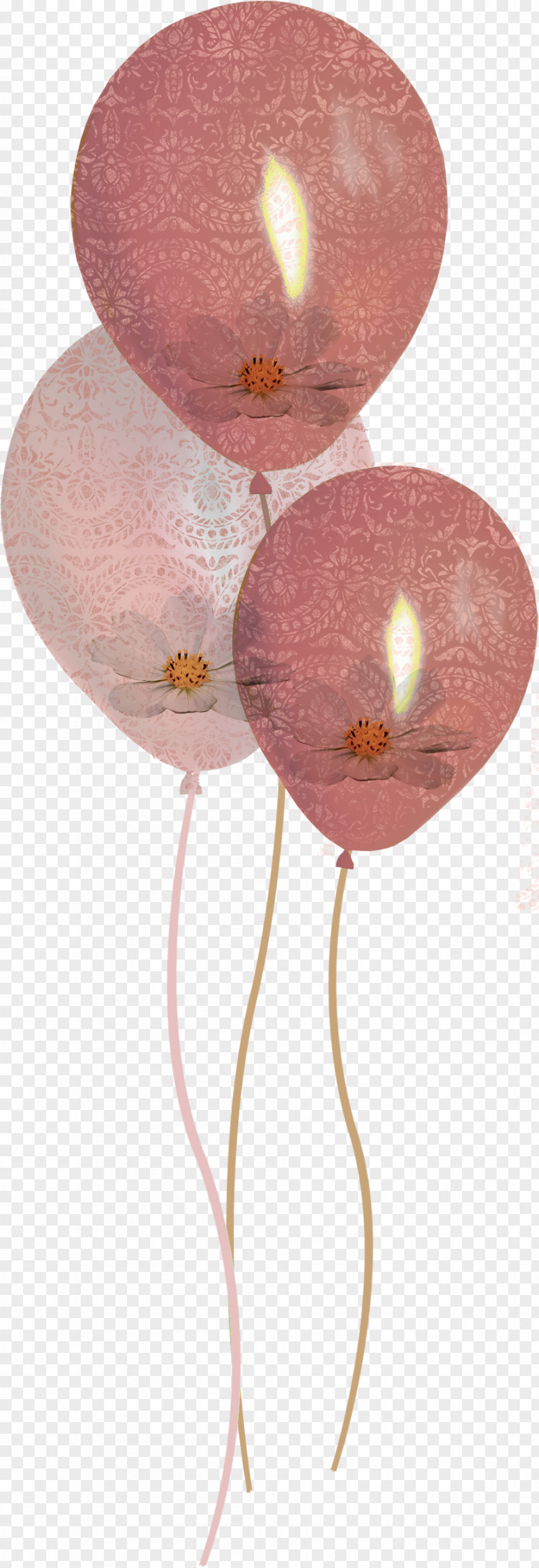 Brown Pattern Balloon Speech Happy Birthday To You Toy PNG