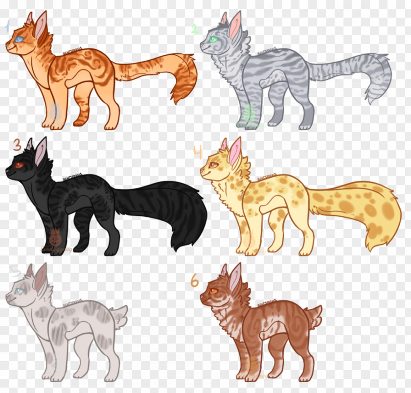 Cat Wildcat Tiger Felidae Dog PNG