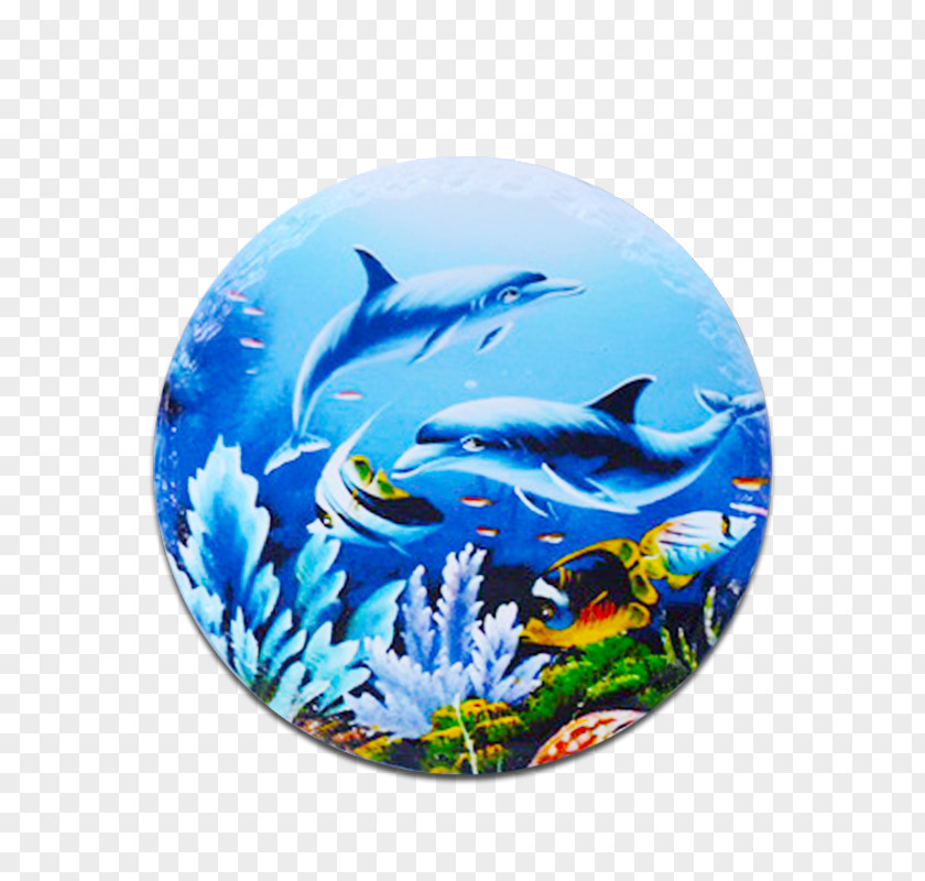 Ceramic Tableware Dolphin Marine Biology CrossFire Fish PNG