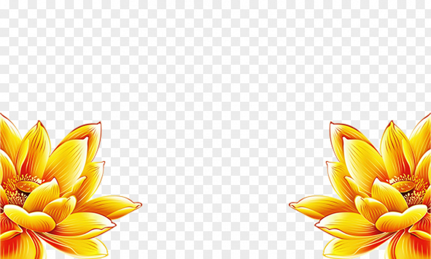 Golden Lotus Gold Yellow PNG