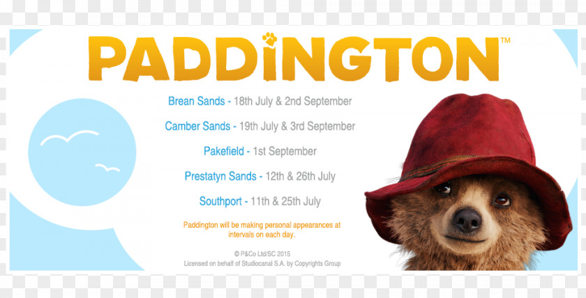Paddington Bear Film Producer Dog Breed PNG