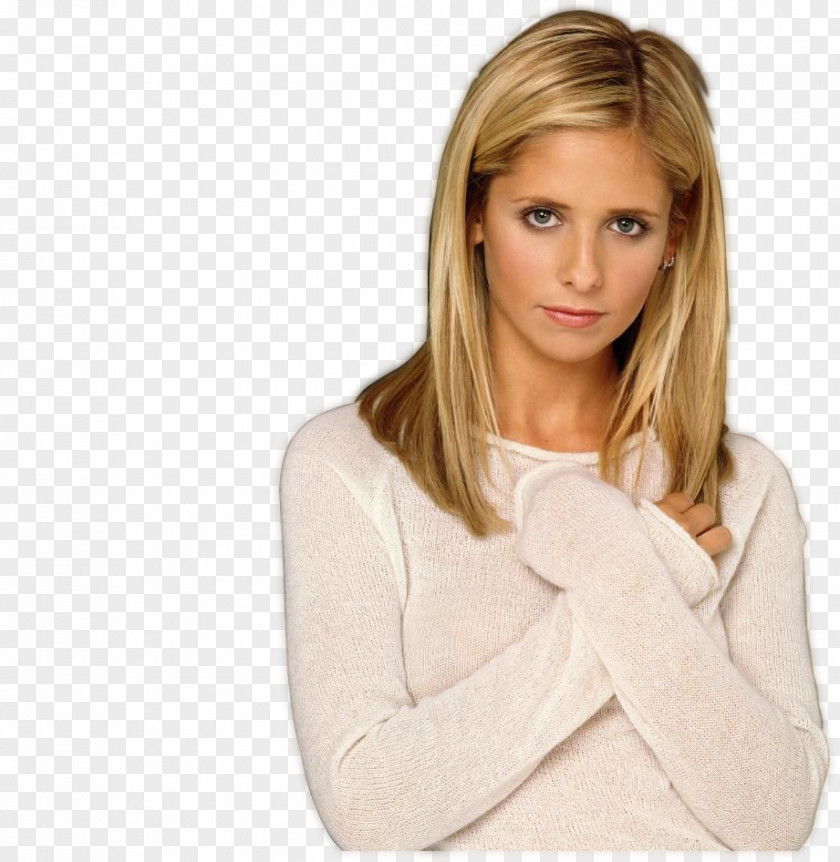 Sarah Michelle Gellar Buffy The Vampire Slayer Anne Summers Faith Spike PNG