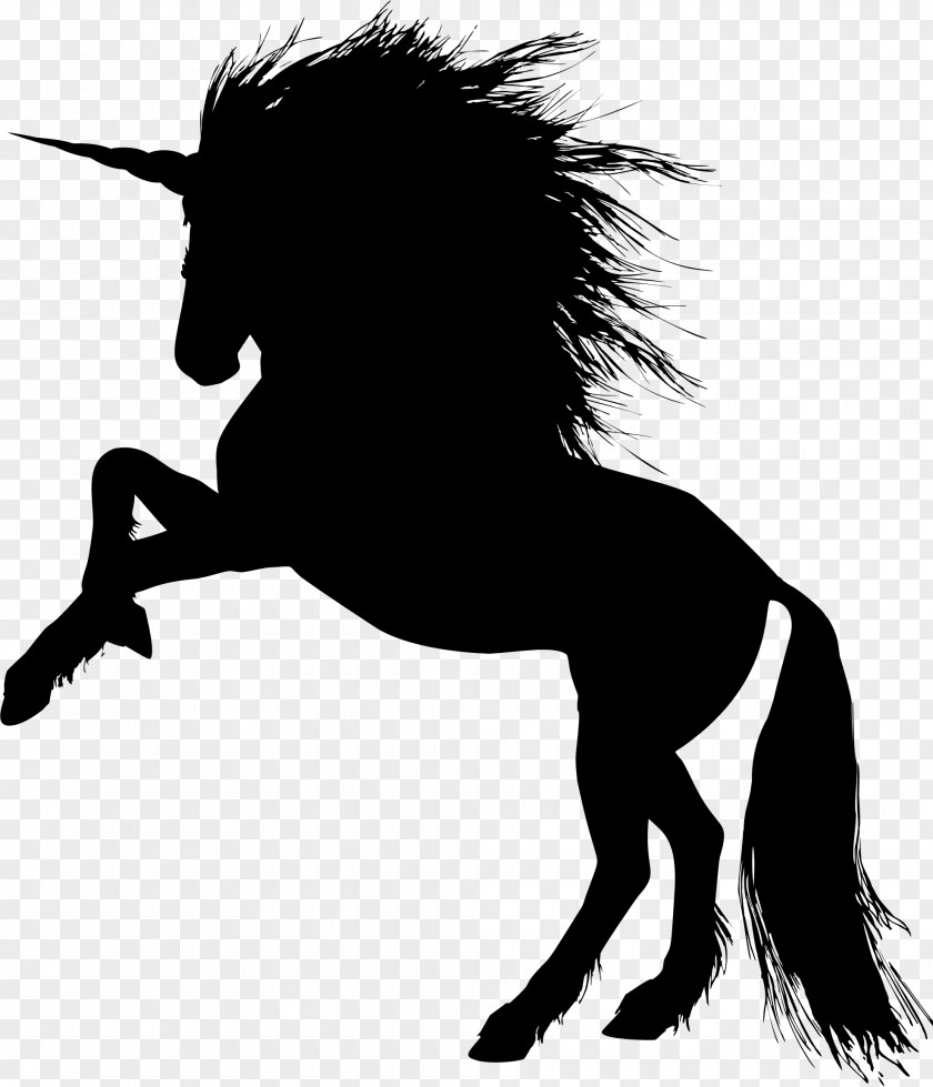 Animal Silhouettes Horse Stallion Desktop Wallpaper Clip Art PNG