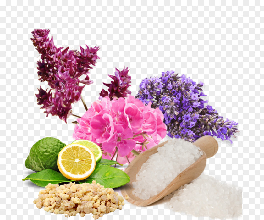 Bath Salt Aromatherapy Olfaction Dietary Supplement Health PNG