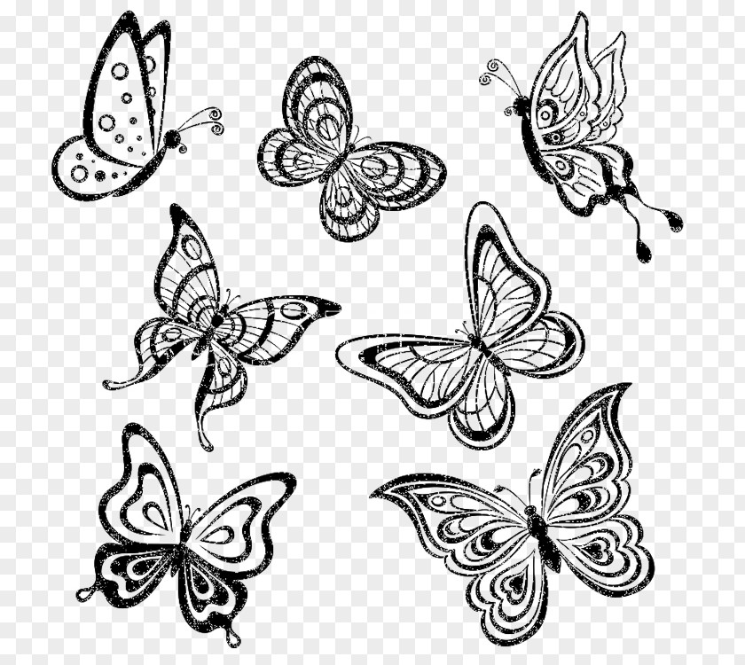 Butterfly Drawing Monochrome Royalty-free PNG