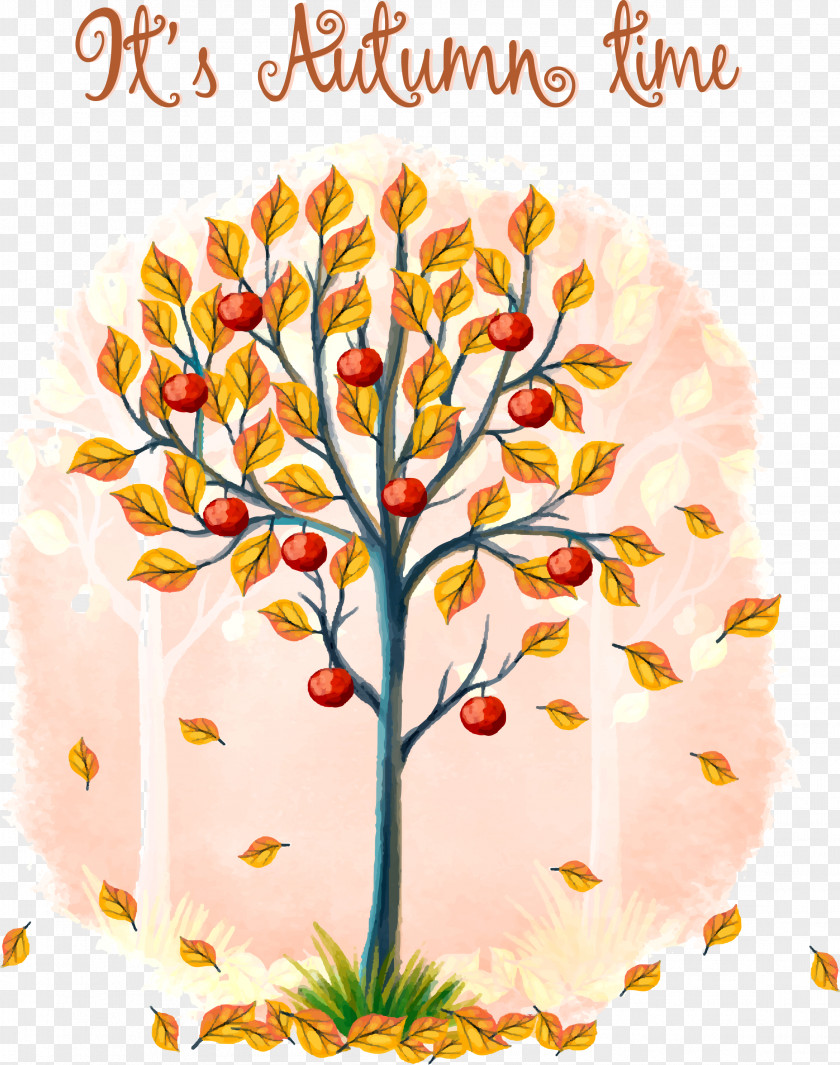 Drawing Vector Autumn Deciduous Trees EPUB E-book PNG