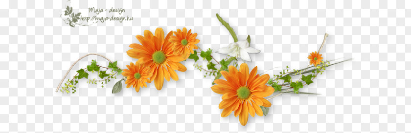 Flower Orange Color PNG