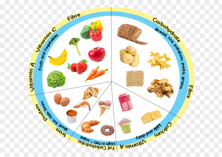 Food Poster Group Vegetarian Cuisine Dish PNG