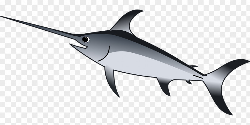 Gray Fish Swordfish Royalty-free Clip Art PNG