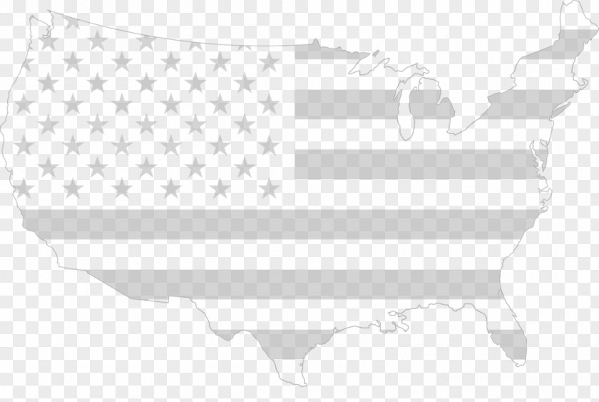 Gun Flag United States Gemneye The Lost Zoo Swing State PNG