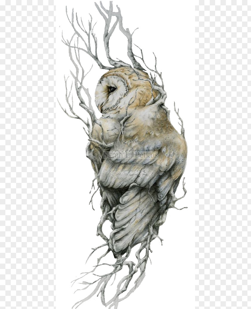 Owl Barn Tattoo Drawing Bird PNG