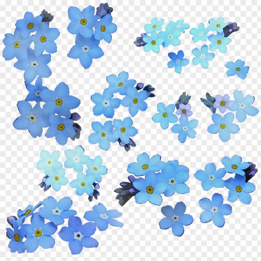 Petal Borage Family Blue Flower Plant Pattern Clip Art PNG