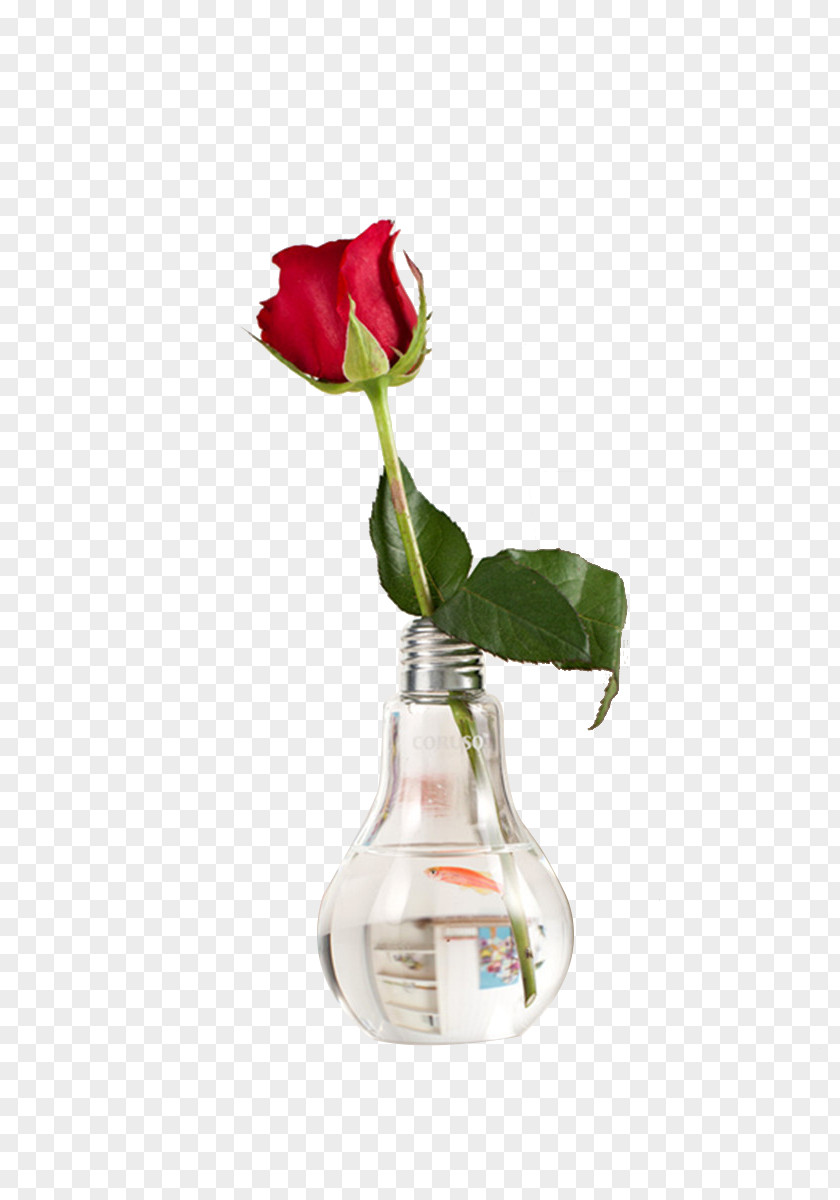 Rose Light Table Glass Vase Flowerpot PNG