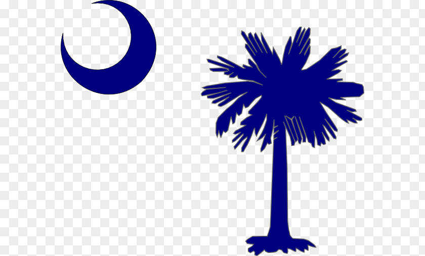 Sabal Palm Arecaceae South Carolina Clip Art PNG