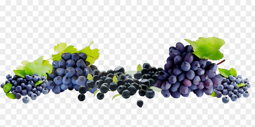 Sultana Grape Seedless Fruit Blueberry Bilberry PNG