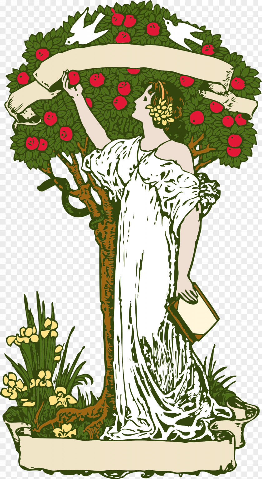 Women Tree Cliparts Book Of Genesis The Knowledge Good And Evil Life Clip Art PNG