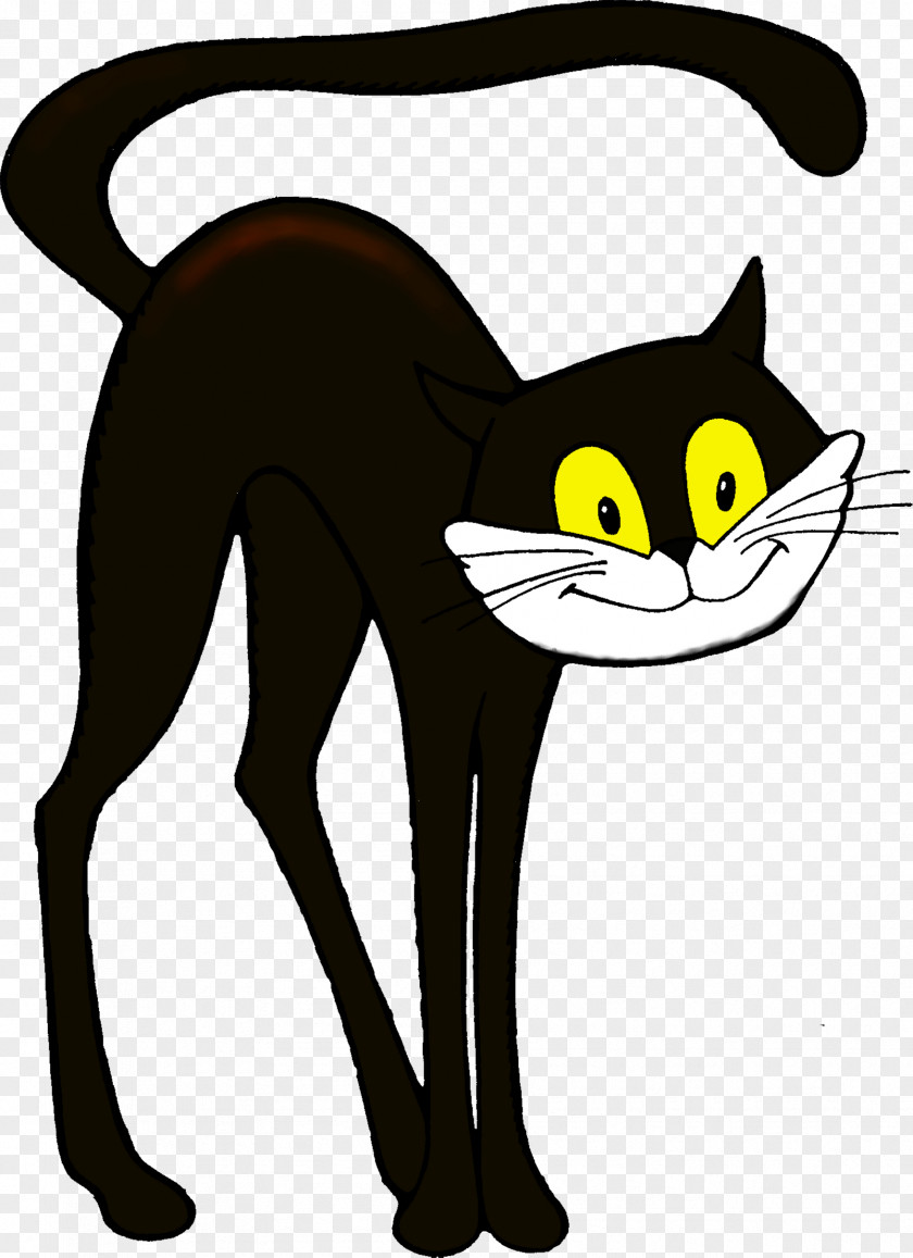 Zoo Cartoon Cat Kitten Drawing PNG