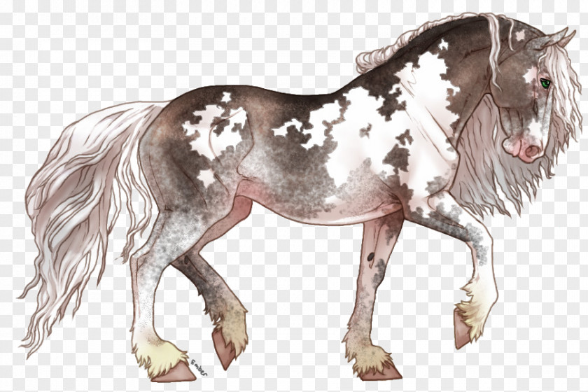 Friesian Horse Mane Mustang Pony Stallion Mare PNG