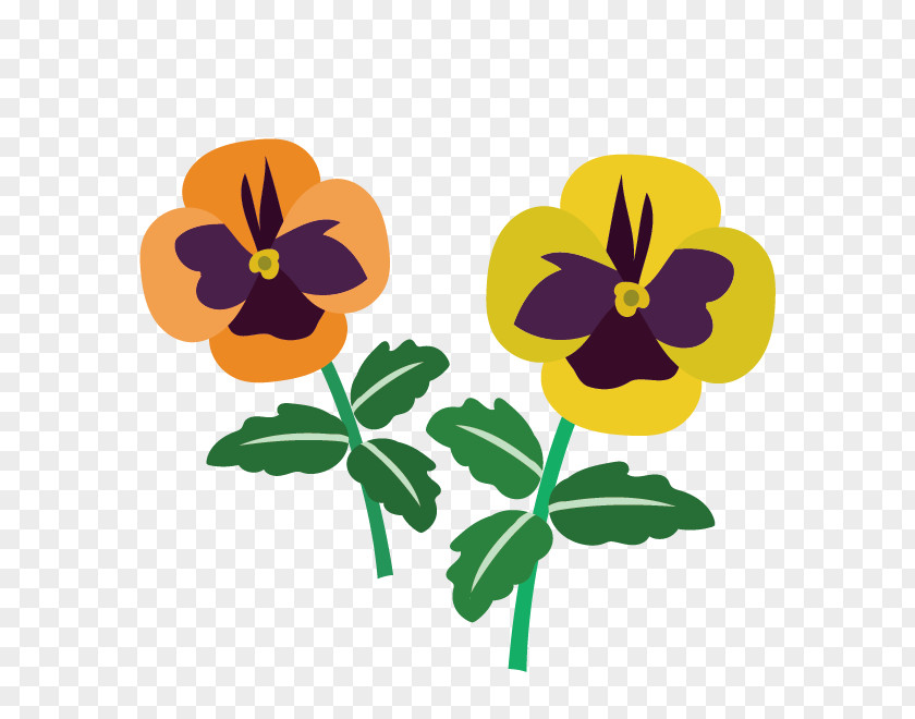 Pansy Yellow Illustration Blue Clip Art PNG