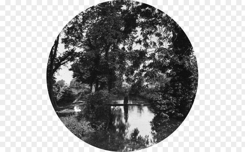 River Thames Marston Meysey Tree Google Slides White PNG