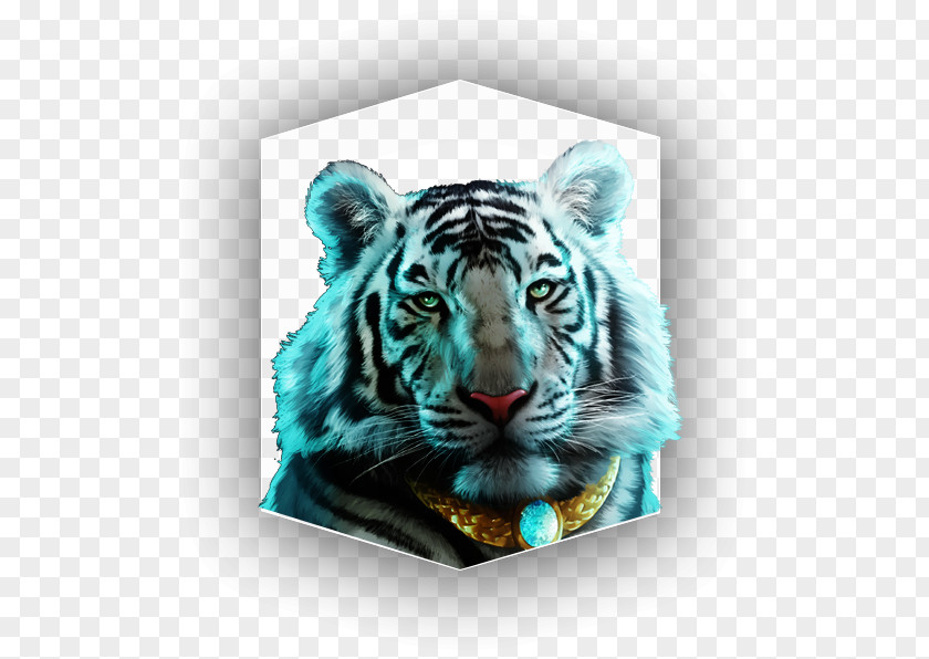 Tiger White Journal Whiskers Cat Snout PNG