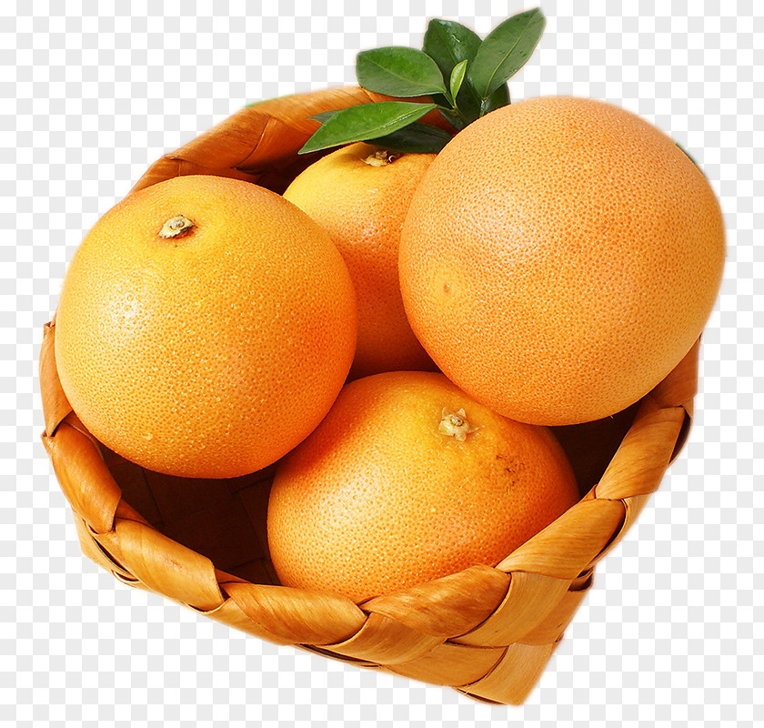 Grapefruit Imports Clementine Mandarin Orange Tangerine Tangelo PNG