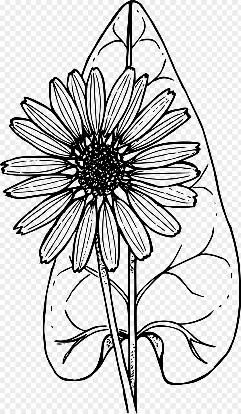 Holy Communion Coloring Book Wildflower Child PNG