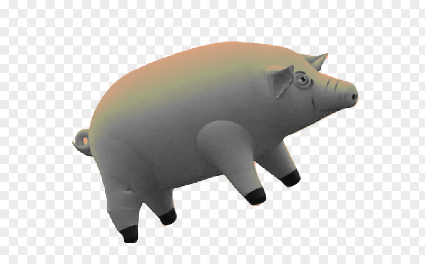 Pig Snout Terrestrial Animal PNG