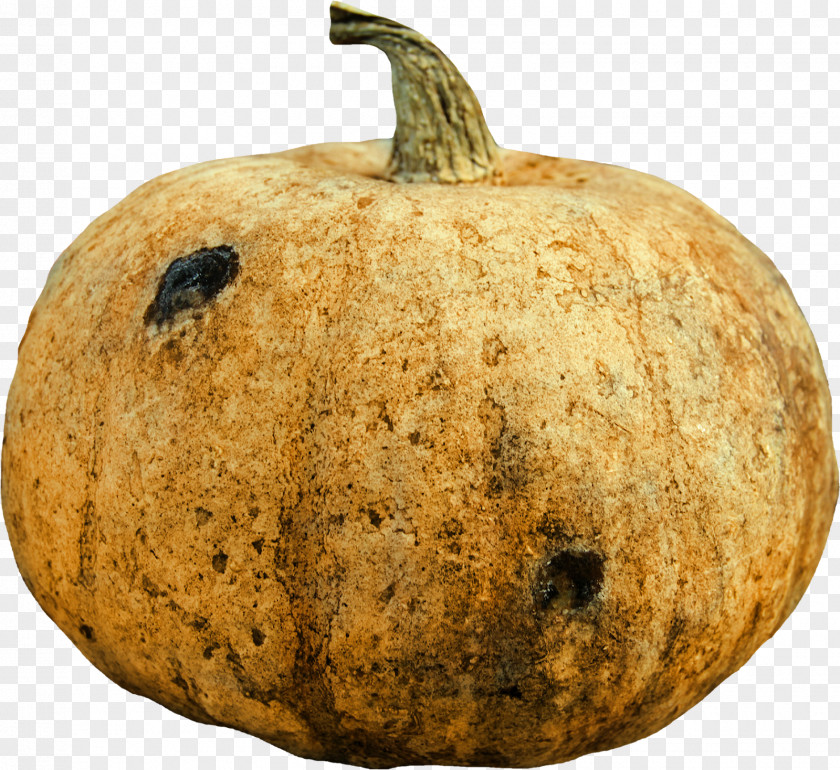 Pumpkin Calabaza Winter Squash Gourd Cucurbita PNG