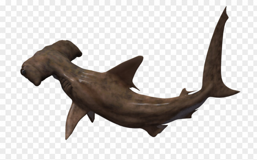 Tube Hammerhead Shark Animation 3D Computer Graphics PNG