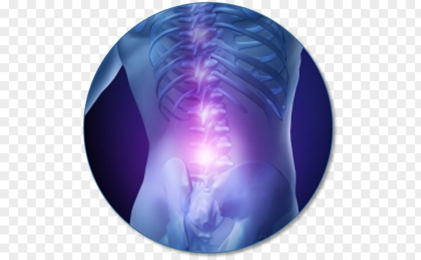 Back Pain Sacroiliac Spinal Disc Herniation Therapy Vertebral Column PNG