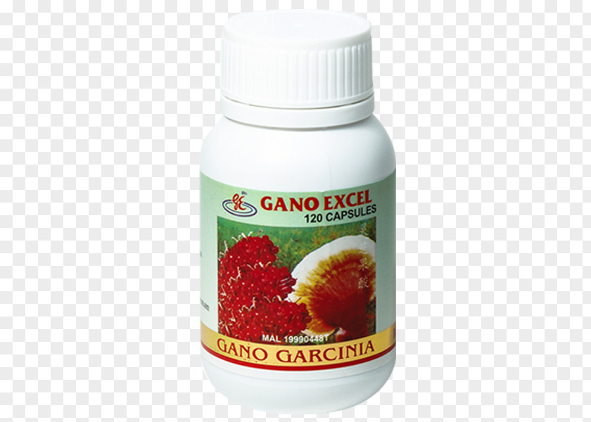 Diet For Weight Loss Garcinia Cambogia Dietary Supplement Lingzhi Mushroom PNG