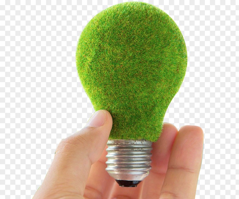 Lions Incandescent Light Bulb LED Lamp Image Printing Lighting PNG