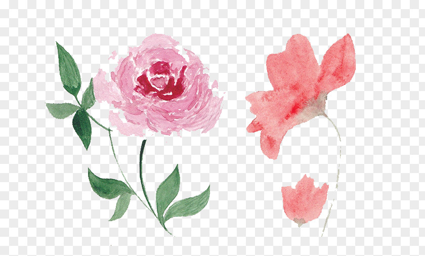 Painting Watercolor: Flowers Watercolor Clip Art Stock.xchng PNG