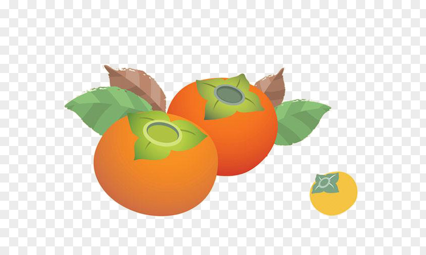 Persimmon Japanese Clementine Tangerine PNG