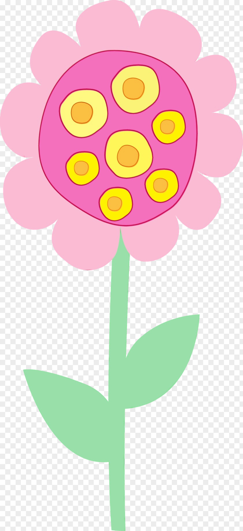 Pink Yellow Plant Flower Magenta PNG
