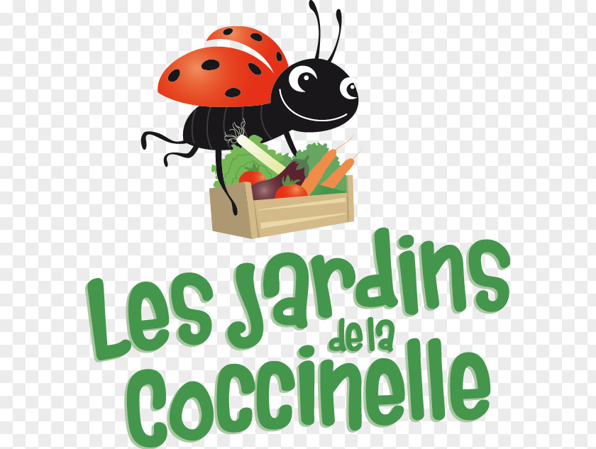 Coccinelle Les Jardins De La Saint-Léger-les-Vignes Garden Insect Short Food Supply Chains PNG