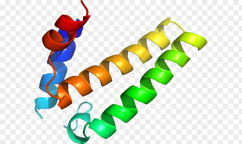 Line S100 Protein Clip Art PNG