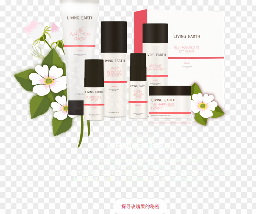 Perfume Brand PNG