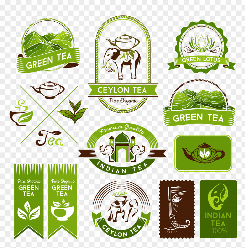 Thai Fresh Green Tea Icon Production In Sri Lanka PNG