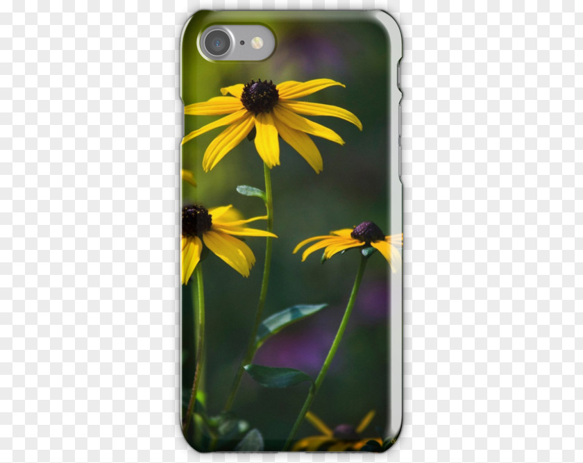 Black Eyed Susan IPhone 6 Mobile Phone Accessories Art Tote Bag Sunflower M PNG