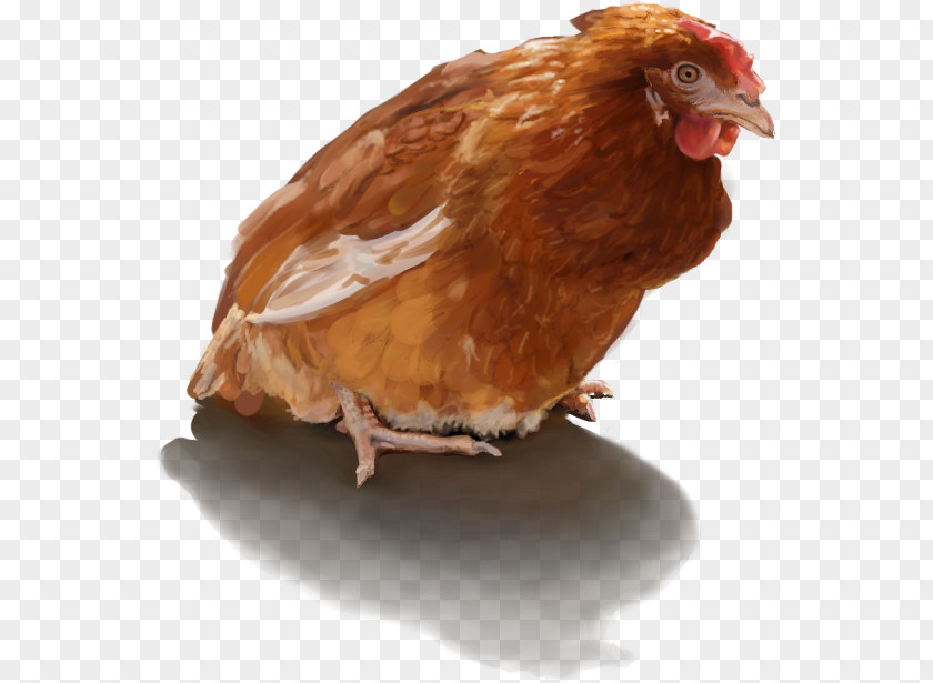 Chicken The Elder Scrolls V: Skyrim – Hearthfire Nexus Mods Egg PNG