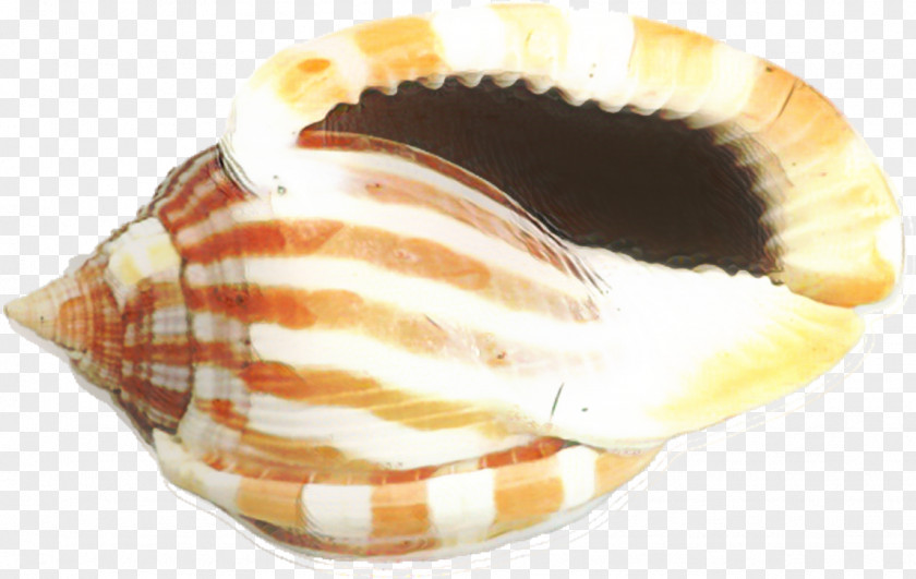 Dish Cuisine Snail Cartoon PNG