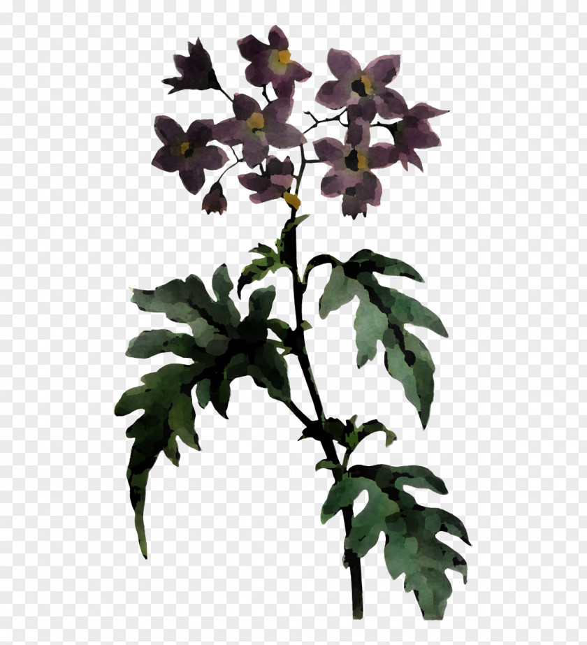Flower Plant Stem Flowerpot Leaf Branch PNG