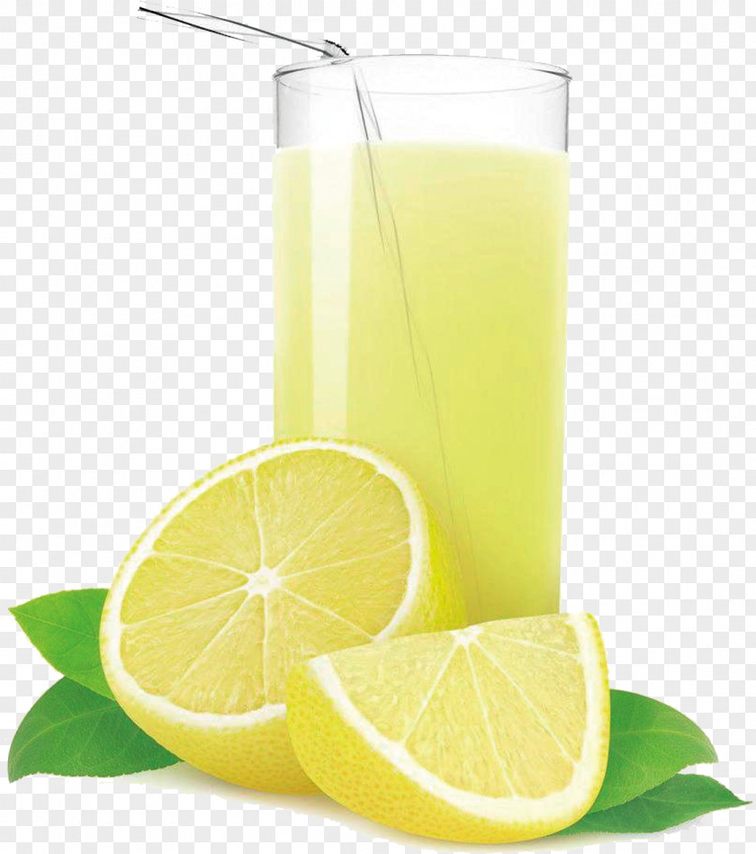 Lemon Orange Juice Lemonade PNG