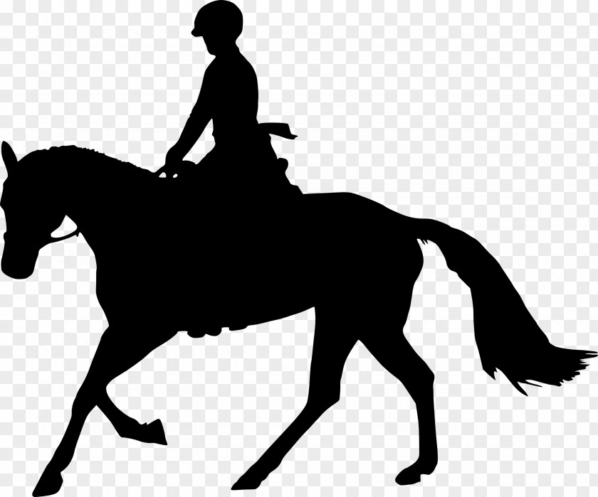 Man Silhouette Horse Equestrian Clip Art PNG